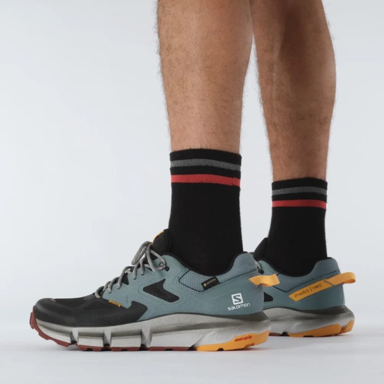 Salomon Predict Hike GTX Men's Hiking Shoes Turquoise / Black | CA 48P37